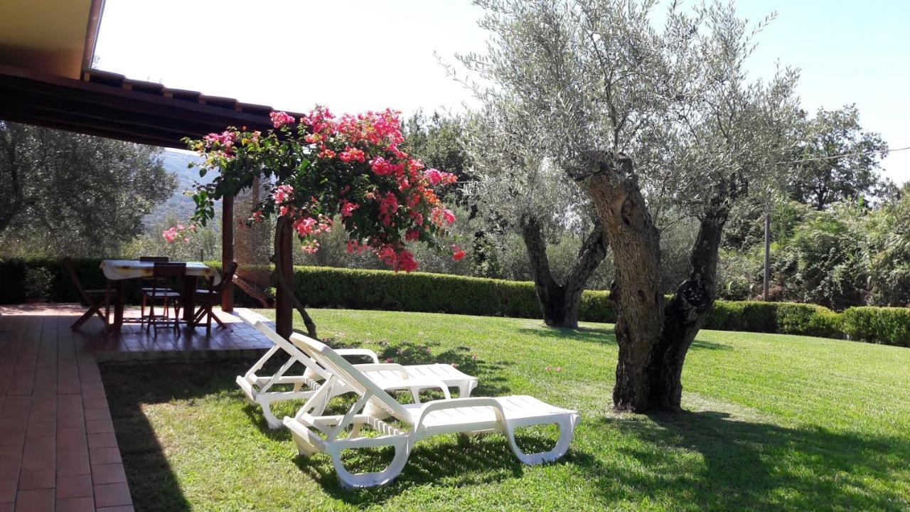 Villa Mimosa Tropea ริกาดี ภายนอก รูปภาพ