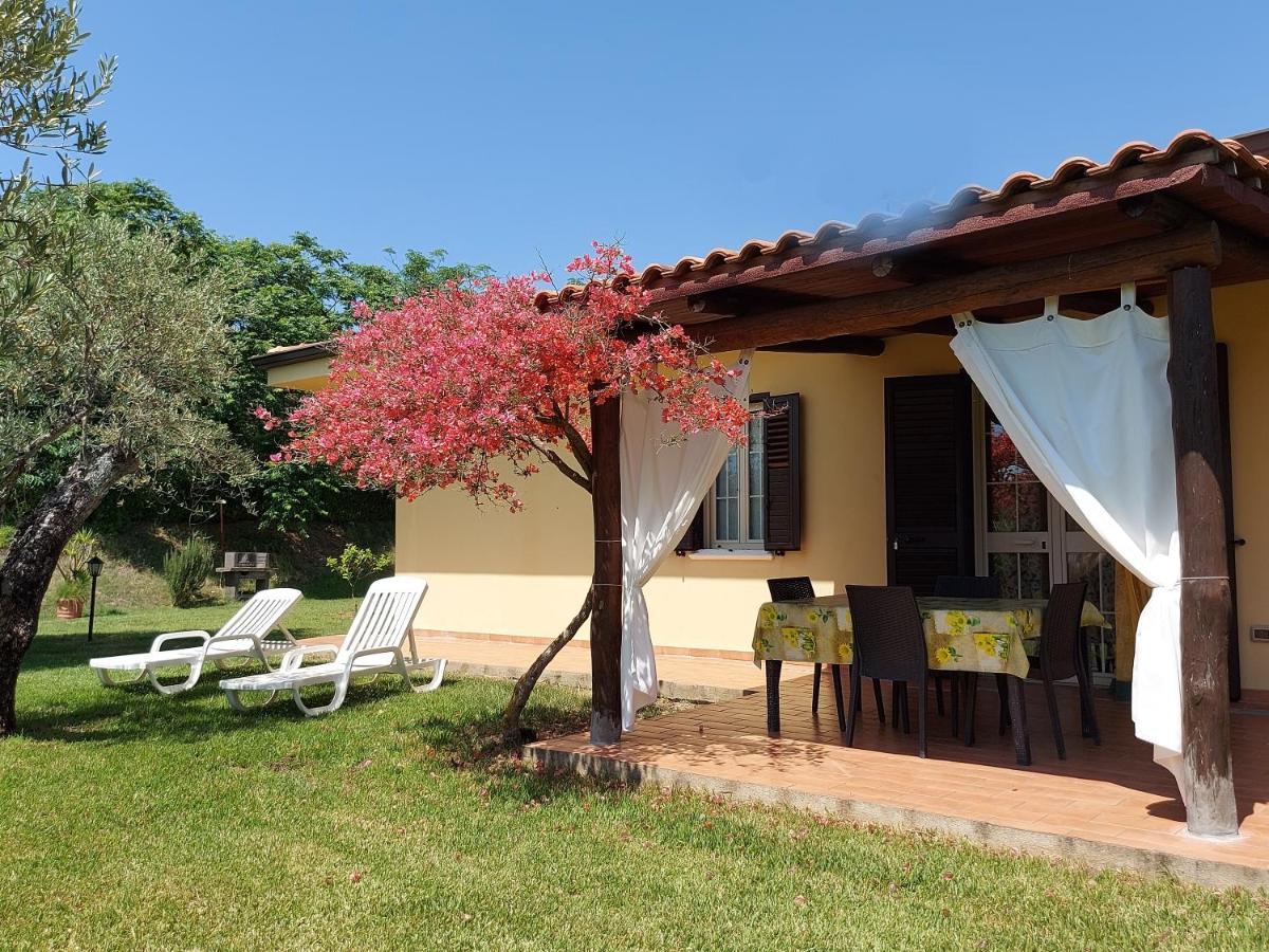 Villa Mimosa Tropea ริกาดี ภายนอก รูปภาพ