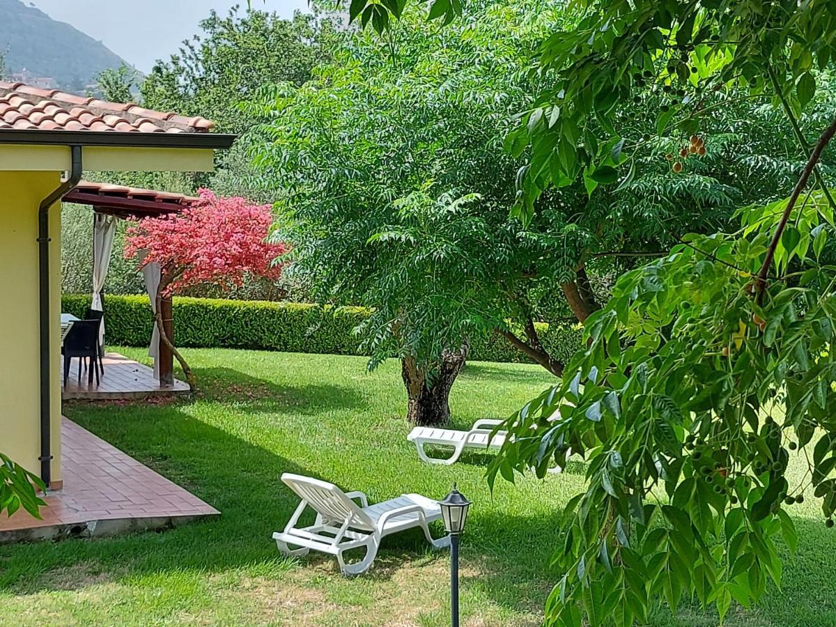 Villa Mimosa Tropea ริกาดี ภายนอก รูปภาพ