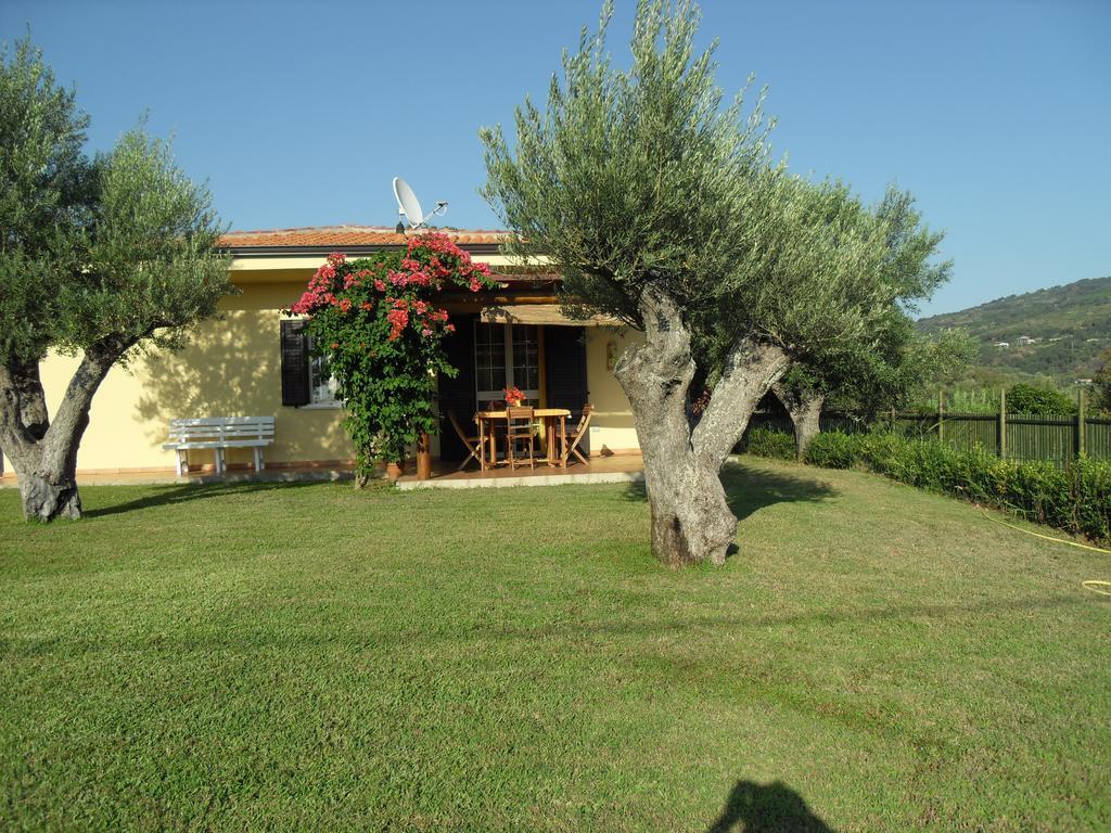 Villa Mimosa Tropea ริกาดี ภายนอก รูปภาพ