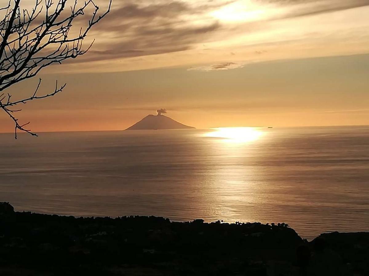 Villa Mimosa Tropea ริกาดี ภายนอก รูปภาพ